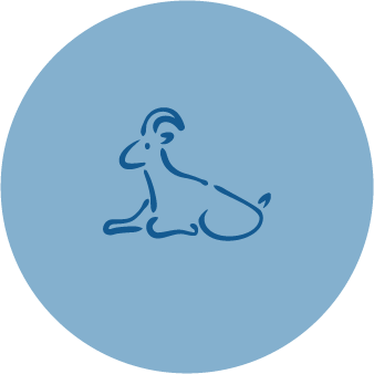 Asset 10-