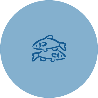 Asset 12-