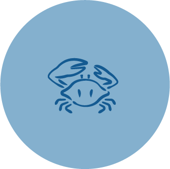 Asset 4-