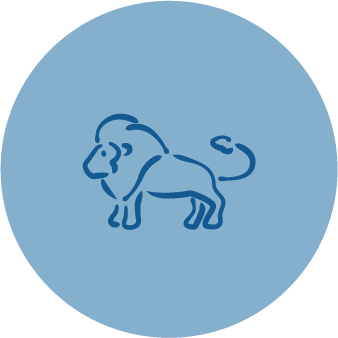 Asset 5-